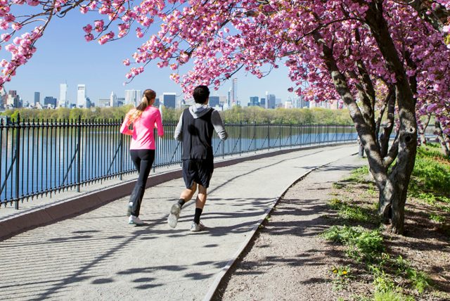 ‘Temiz hava salgınlara karşı daha dirençli olmamızı sağlayabilir’