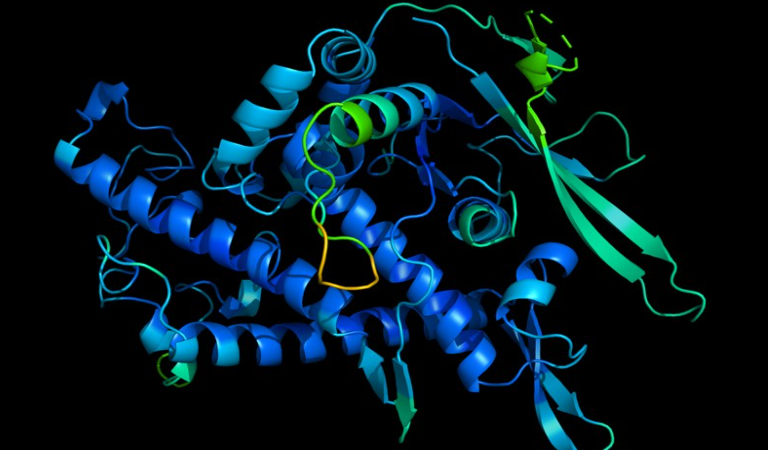 Biyolojinin en büyük gizemlerinden biri yapay zeka sayesinde çözülüyor