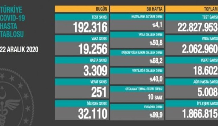 Türkiye’de son 24 saatte 251 kişi koronavirüs nedeniyle hayatını kaybetti