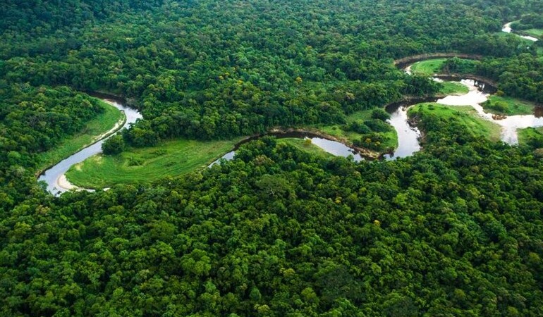 Amazon Yağmur Ormanları yakılıyor, illegal bir şekilde Facebook üzerinden satışa çıkarılıyor