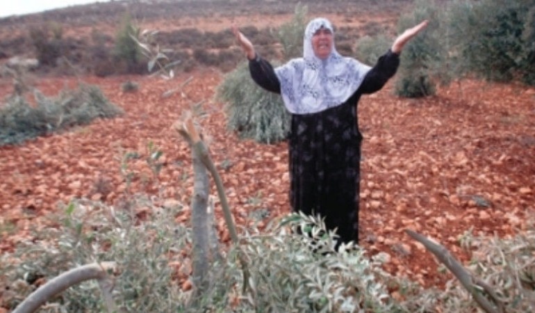 Afrin’de son 3 yıl: Demografi tamamen değiştirildi