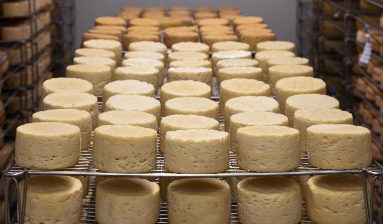 Bakan Mehmet Muş: 2020’de Venezuela’dan 1 gram dahi peynir ithal edilmemiştir