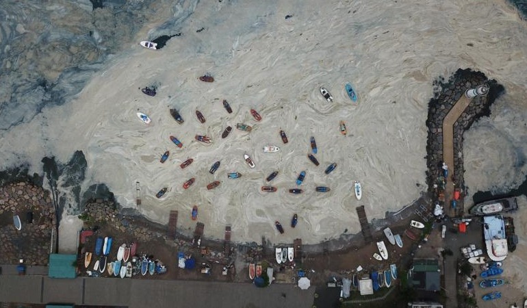 ‘Marmara’da bu yıl balık olmayacak’