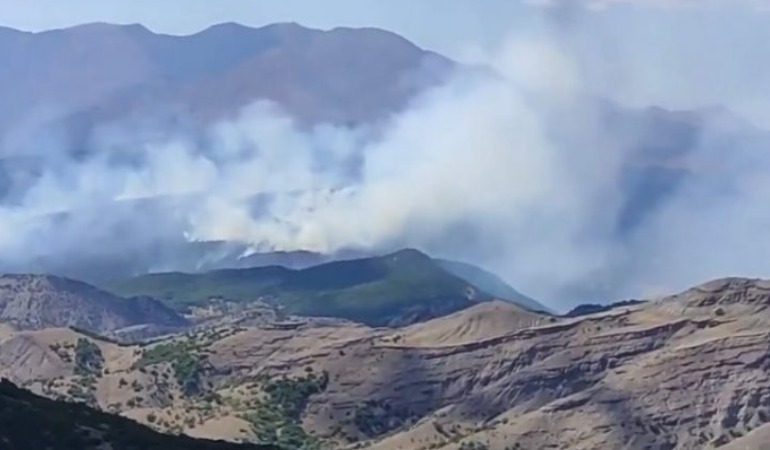 Dersim’de 10 gündür süren orman yangınları yayılıyor: Yangına müdahale etmek isteyenler engelleniyor!