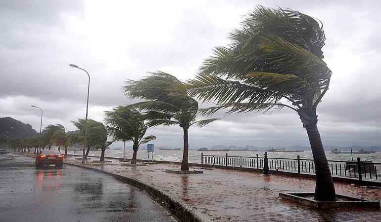 Antalya’da fırtına: Ağaçlar devrildi, uçak seferleri aksadı
