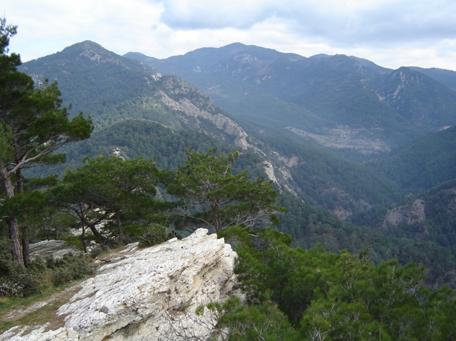 Türkiye’nin Ormanları Azalıyor