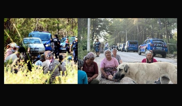 Akbelen Ormanı’nda ağaç kesimi sürüyor