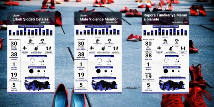 Erkekler Aralık’ta 30 kadını öldürdü