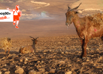 Acılarımızı Kusiyığ Artığ