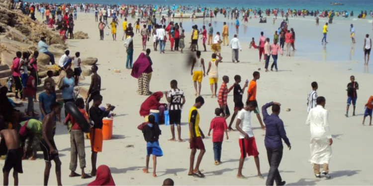 Somali: Eş-Şebab katliam yaptı