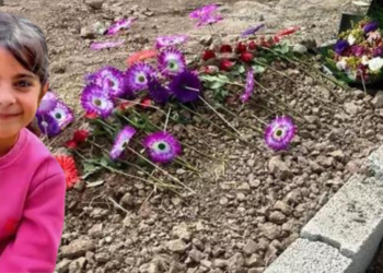 Narin’in cesedini dereye taşıyan şüphelinin ifadesi ortaya çıktı