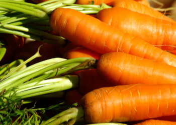 ABD’de paketlenmiş organik havuçlarda koli basili bakterisi tespit edildi