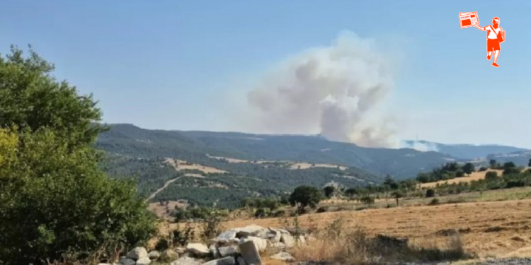 Balıkesir’de orman yangınıyla mücadele sürüyor