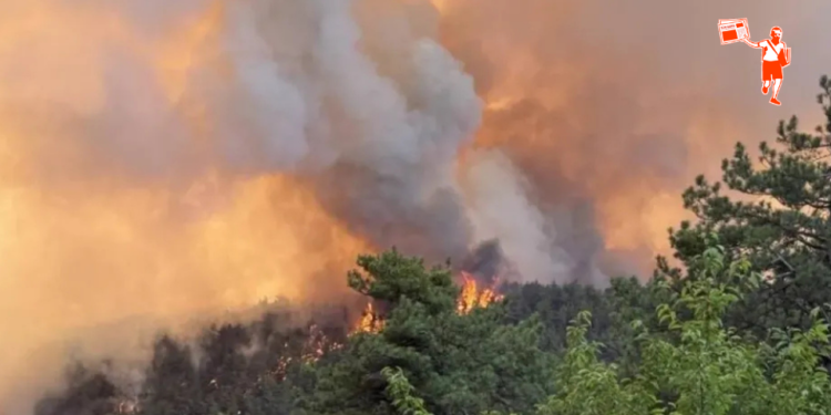 Bilecik ve Sakarya’da orman yangını alarmı: Dört köy tahliye edildi, mücadele sürüyor