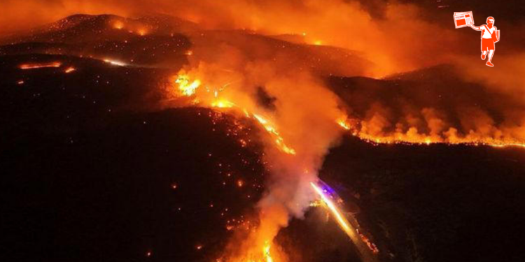 Bursa’daki orman yangınında sabotaj şüphesi: Bir kişi gözaltında