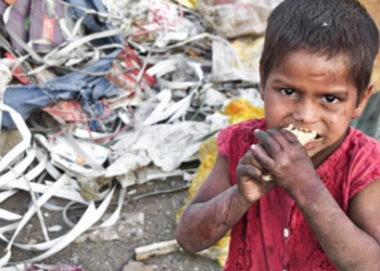 Dünya Açlık Yardımı: 733 milyon kişi açlıkla mücadele ediyor, Gazze’de durum felaket boyutunda