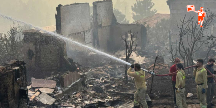 Geyve’deki orman yangını 4. gününde kısmen kontrol altında: Söndürme ve soğutma çalışmaları sürüyor