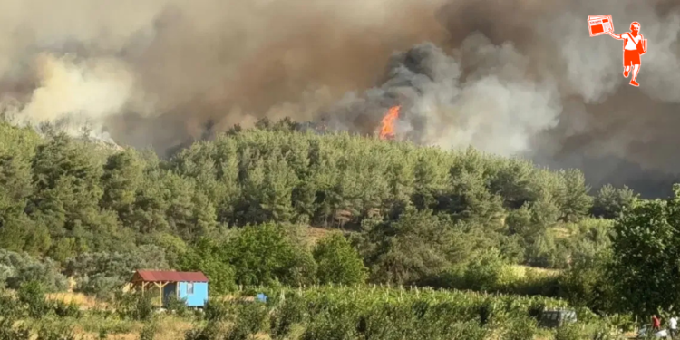 Sakarya Geyve’de orman yangını: Müdahale havadan ve karadan sürüyor