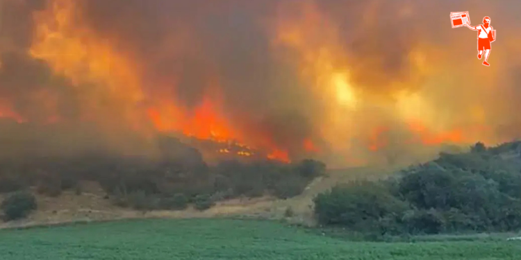 Bursa Yenişehir’deki orman yangını kontrol altına alındı