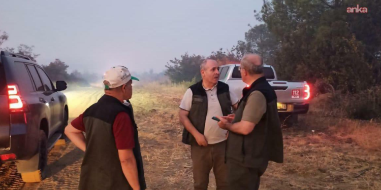 Çanakkale Gelibolu’da orman yangını: İki köy tahliye edildi