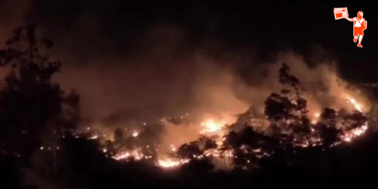 Muğla’da gece yarısı peş peşe 7 orman yangını