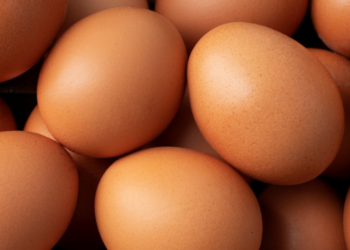 Yumurta krizi derinleşiyor: Üretim 11 aydır düşüyor, fiyatlar uçuşta